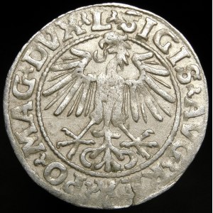 Sigismund II Augustus, Half-penny 1549, Vilnius - 9 Pogon, L/LITVA - rare