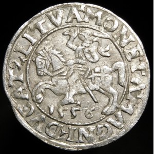 Sigismund II Augustus, Half-penny 1556, Vilnius - LI/LITVA
