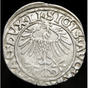 Žigmund II August, polgroš 1556, Vilnius - LI/LITVA - variant