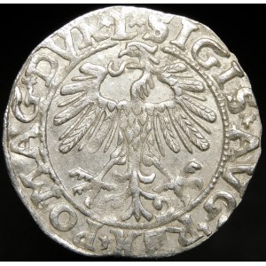 Sigismund II Augustus, Half-penny 1557, Vilnius - L/LITV