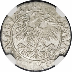Zygmunt II August, Półgrosz 1559, Wilno - L/LITVA - piękny
