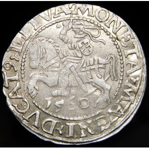 Sigismund II Augustus, Half-penny 1560, Vilnius - DVX L/LITVA - rare