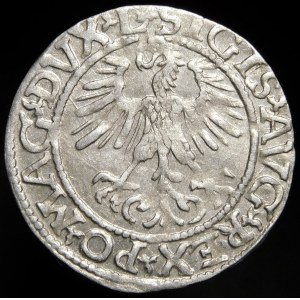 Sigismund II Augustus, Half-penny 1561, Vilnius - 13 Eagle, L/LITV