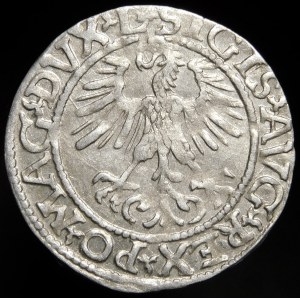 Zygmunt II August, Półgrosz 1561, Wilno - 13 Orzeł, L/LITV