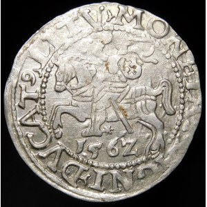 Sigismund II Augustus, Half-grosz 1562, Vilnius - 17 Pogon, L/LITV