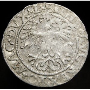 Sigismund II Augustus, Half-grosz 1562, Vilnius - 17 Pogon, L/LITVA