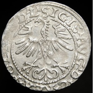 Zygmunt II August, Półgrosz 1564, Wilno - 21 Pogoń, Topór, L/LITV