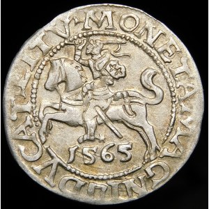 Žigmund II August, polgroš 1565, Vilnius - dátumová pečiatka 15/665 - veľmi vzácne