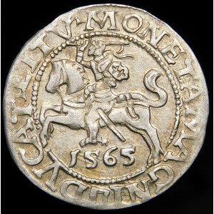 Zygmunt II August, Półgrosz 1565, Wilno - przebitka daty 15/665 - b. rzadki