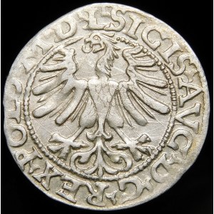 Žigmund II August, polgroš 1565, Vilnius - dátumová pečiatka 15/665 - veľmi vzácne