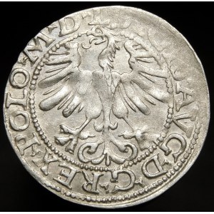 Žigmund II August, polgroš 1565, Vilnius - 22 Pogon, sekera, L/LITV