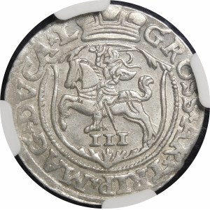 Sigismund II Augustus, Trojak 1563, Vilnius