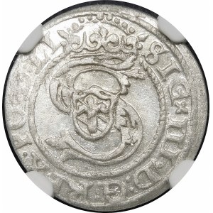 Sigismund III Vasa, 1597 Shelly, Riga - different Snopek