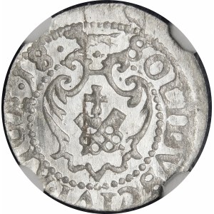 Zygmunt III Waza, Szeląg 1618, Ryga - piękny