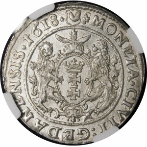 Zygmunt III Waza, Ort 1618, Gdańsk - listek klonu - piękny i rzadki