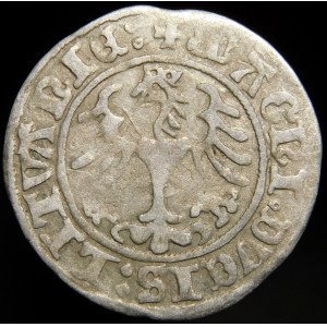 Zikmund I. Starý, půlpenny 1509, Vilnius - Herold bez pochvy - dvojtečka