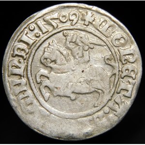 Zikmund I. Starý, půlpenny 1509, Vilnius - Herold bez pochvy - Prsten - prolamovaný - velmi vzácný