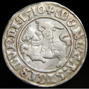 Sigismund I. der Alte, Halbpfennig 1510, Wilna - große Null, vier Punkte - Interpunktion - selten