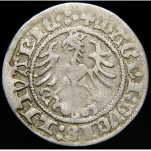 Sigismund I. der Alte, Halbpfennig 1518, Wilna - Fehler, MONTEA - Doppelpunkt, vierfach - selten