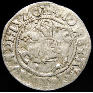 Sigismund I the Old, Half-penny 1520, Vilnius - NAGNI error - undescribed