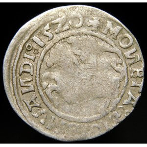 Zikmund I. Starý, půlpenny 1520, Vilnius - SIGISMVANDI chyba - trojitá tečka - vzácné