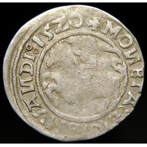 Sigismund I the Old, Half-penny 1520, Vilnius - SIGISMVANDI error - triple dot - rare