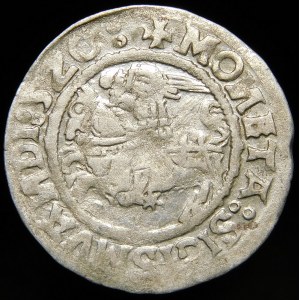 Sigismund I the Old, Half-penny 1520, Vilnius - error SIGISMVANDI:5Z0 - pentacle - very rare