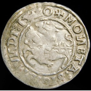 Sigismund I. der Alte, halber Pfennig 1520, Vilnius - dreifacher Punkt