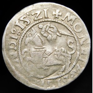 Sigismund I. der Alte, Halber Pfennig 1521, Wilna - keine Marke, Doppelpunkt