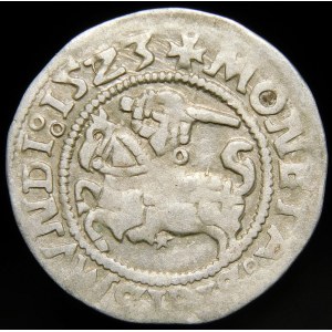 Sigismund I the Old, Half-penny 1523, Vilnius - LITVANDIE error - very rare