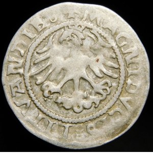 Sigismund I. der Alte, halber Pfennig 1523, Vilnius - LITVANDIE Fehler - sehr selten