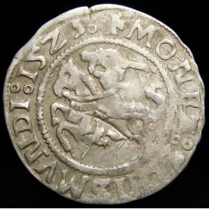 Sigismund I the Old, Half-penny 1523, Vilnius - error MONEA, LIVANIE - undescribed