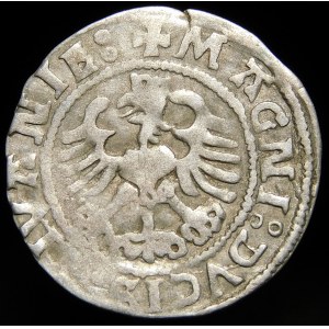 Sigismund I the Old, Half-penny 1523, Vilnius - error MONEA, LIVANIE - undescribed