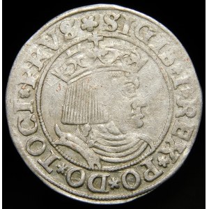 Sigismund I the Old, Penny 1531, Torun - variation
