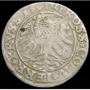 Sigismund I the Old, Penny 1531, Torun - variety - rarer