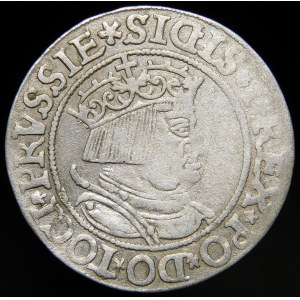 Sigismund I the Old, 1534 penny, Torun - crowned - variation