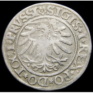 Sigismund I the Old, Penny 1533, Elbląg