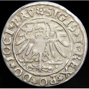Sigismund I the Old, Penny 1534, Elbląg