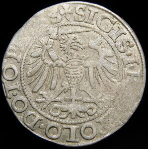 Sigismund I the Old, Penny 1540, Elbląg