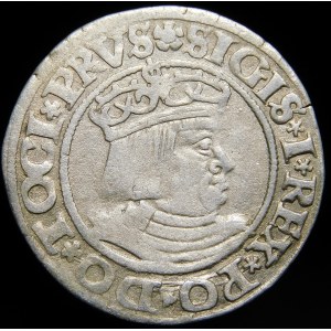 Sigismund I the Old, 1531 penny, Gdansk - PRVS