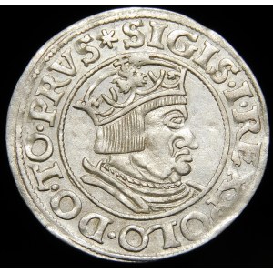 Zikmund I. Starý, Grosz 1535, Gdaňsk - PRVS, hvězda - krásná