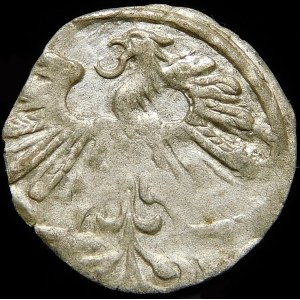 Sigismund II. Augustus, Denar 1559, Vilnius