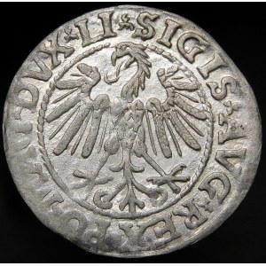 Zygmunt II August, Półgrosz 1546, Wilno - nowszy typ Orła - LI/LITV - rzadki