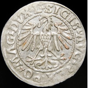 Žigmund II August, polgroš 1548, Vilnius - Roman I, L/LITVA - vzácny