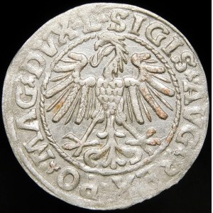 Zygmunt II August, Półgrosz 1548, Wilno - rzymska I, L/LITVA - rzadki