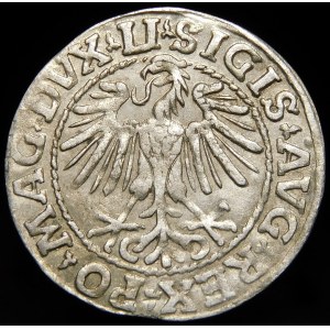 Zygmunt II August, Półgrosz 1548, Wilno - rzymska I, LI/LITVA - piękny