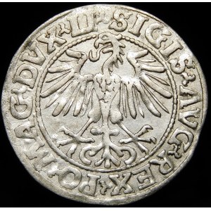 Zygmunt II August, Półgrosz 1548, Wilno - arabska 1, LI/LITVA