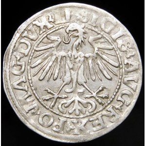 Zygmunt II August, Półgrosz 1549, Wilno - 10 Pogoń, LI/LITVA