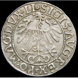 Sigismond II Auguste, demi-penny 1557, Vilnius - LI/LITV