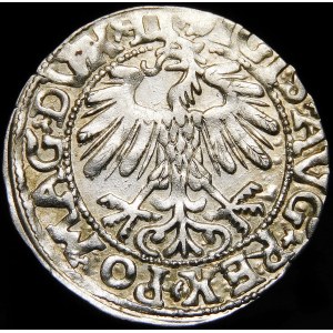 Žigmund II August, polgroš 1558, Vilnius - LI/LITVA
